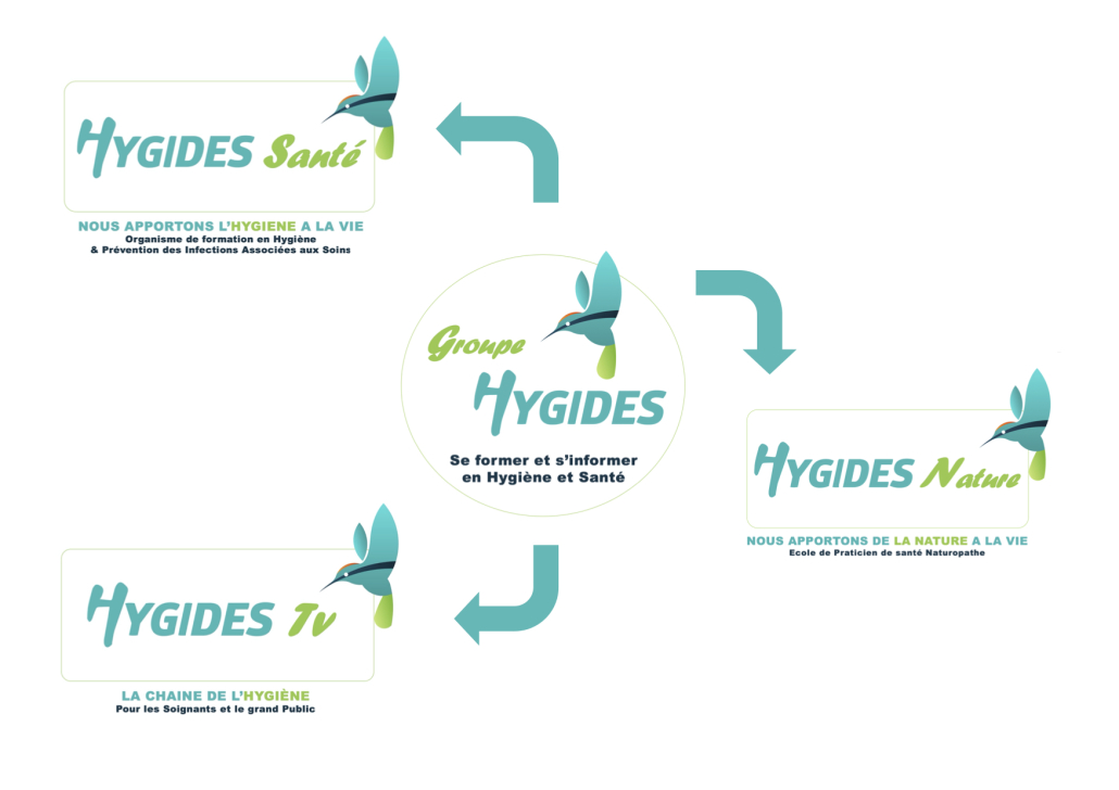 SCHEMA GROUPE HYGIDES